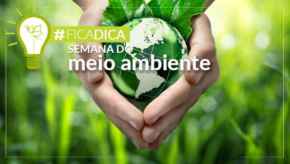 Eco-friendly: Descubra o que é e como ser amigo do meio ambiente.